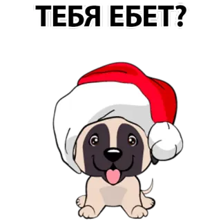 😡 ТЕБЯ ЕБЕТ? dog, puppy, santa hat, christmas, new year telegram sticker