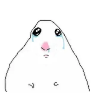😭 sad hamster whatsapp sticker