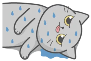 😩 kat, zweterig, uitgeput, cartoon, dier, schattig telegram sticker
