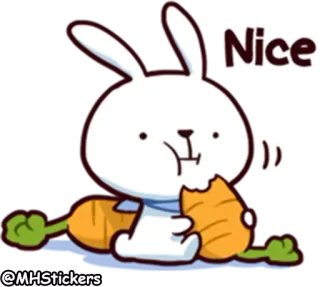 😋 Nice Hase, niedlich, Karotte, Tier, Cartoon, Aufkleber telegram sticker