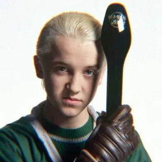 🐍 Draco Malfoy Harry Potter Draco Malfoy, Harry Potter, Zauberer, Quidditch, Tom Felton, Slytherin whatsapp sticker