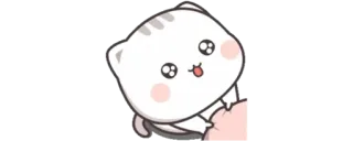 ✨ gatto, animale, adesivo, carino, cartone animato, kawaii whatsapp sticker