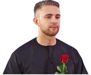 🙂 uomo, rosa, fiore, persona telegram sticker