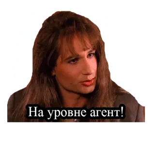 🤡 На уровне агент! telegram sticker