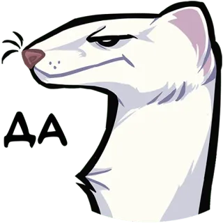 ✅ Hermelin, Hermelin, Wiesel, Tier, Weiß, Süß, Cartoon telegram sticker