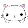 🐱