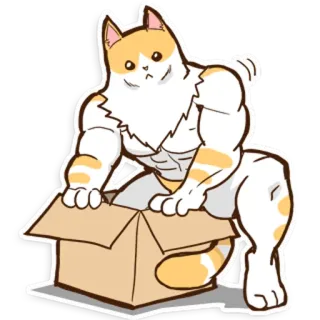 😐 gatto, scatola, cartone animato, carino, divertente, animale whatsapp sticker