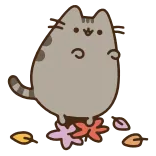 😺 Pusheen Katze, niedlich, Cartoon, Sticker, animiert telegram sticker