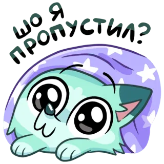 ⭐️ not my circuss chat, triste, mignon, dessin animé, animal telegram sticker