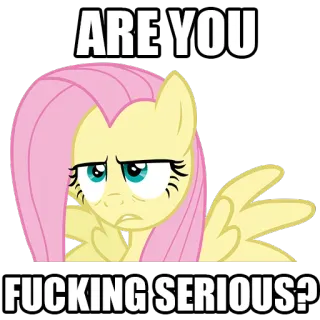 😎 Fluttershy My Little Pony ARE YOU FUCKING SERIOUS? Poni, Dibujo animado, MLP, Serio, Fluttershy, Enojado telegram sticker