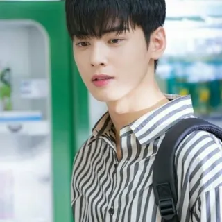 🤗 Cha Eun-woo attore, coreano, idol, celebrità, bello telegram sticker