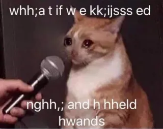 🥰 whh;a t if w e kk;ijsss ed
nghh,; and h hheld
hwands 猫, ミーム, インタビュー, 悲しい, 手, マイク telegram sticker