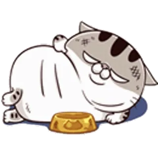 🤤 Katze, schläfrig, Cartoon, Tier, Haustier, süß telegram sticker