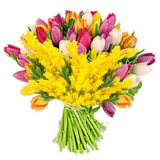 🌷 Bouquet, Blumen, Tulpen, Mimose, Frühling, Blumenarrangement whatsapp sticker
