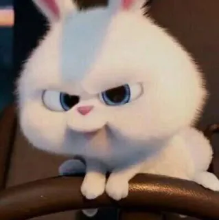 🐰 Snowball The Secret Life of Pets conejo, conejo, blanco, enojado, lindo, dibujos animados, personaje whatsapp sticker
