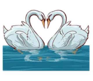 🧡 cisnes, pájaros, amor, corazón, agua, animales, naturaleza, pareja telegram sticker
