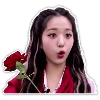 😮 femme, rose, fleur, surprise, K-pop, fille telegram sticker