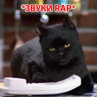 Salem @stickersb2b telegram stickers