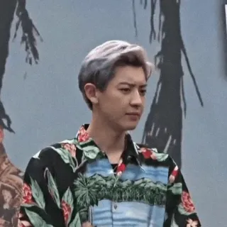 📏 hombre, kpop, cantante, actor, camisa hawaiana telegram sticker