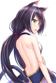 😰 anime, catgirl, girl, kemonomimi telegram sticker