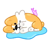 😭 Hund, Welpe, Schlaf, Süß, Tier, Schlafend telegram sticker