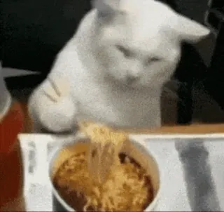 😋 chat, ramen, nourriture, animal, nouilles, mignon, drôle telegram sticker