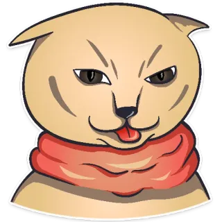 😎 chat, animal, dessin animé, autocollant, animal de compagnie whatsapp sticker
