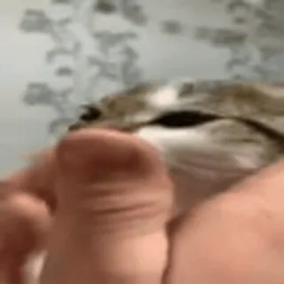 🤨