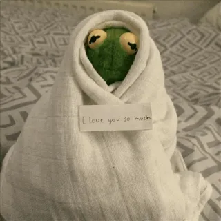 🐸 Kermit I love you so much kermit, love, frog, cute, blanket, meme telegram sticker