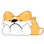 🙁 corgi, hund, süß, traurig, tier, haustier telegram sticker