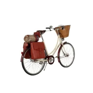 🚵‍♂️ 自行车, 单车, 交通, 骑行, 复古, 怀旧, 车筐, 皮包 telegram sticker