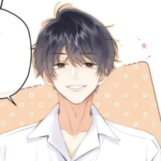 👌 stile anime, manga, cartone animato, sorridente, maschio, bruno telegram sticker