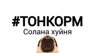 🤩 #ТОНКОРМ
Солана хуйня dog, pug, crypto, meme telegram sticker