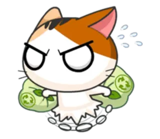 ♻ chat, en colère, dessin animé, mignon, animal de compagnie, animal, drôle, mème whatsapp sticker