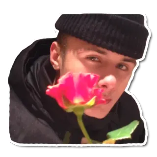 🌹 человек, мужчина, цветок, портрет telegram sticker