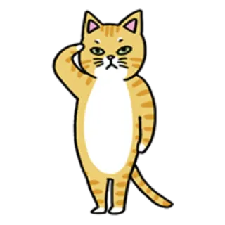 💪 cat, animal, salute, cartoon, sticker, cute telegram sticker