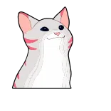 😺 cat, meme, animal, pet, cute, funny, popcat telegram sticker