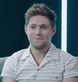 🎸 Niall Horan Niall Horan, cantor, celebridade, One Direction, músico telegram sticker