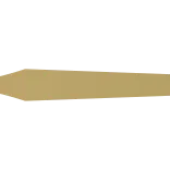 ✍️