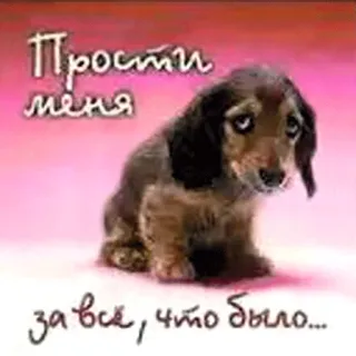 😞 Прости меня
за всё, что было... dog, puppy, sorry, apology, cute, sad telegram sticker