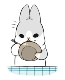 😊 conejo, cocina, comida, lindo, animal telegram sticker