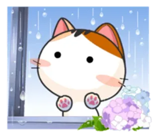 🌨 gato, chuva, fofo, janela, flor, kawaii, anime telegram sticker