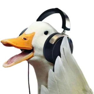 🦆 утка, животное, наушники, музыка, диджей telegram sticker