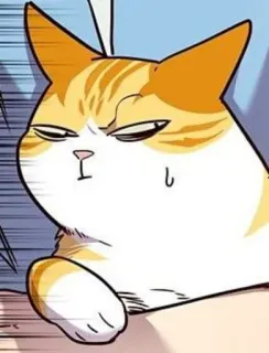 🐈 gato, lindo, divertido, meme, animal, mascota, naranja, atigrado telegram sticker