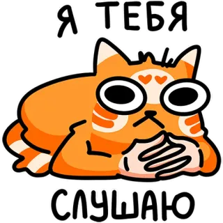 🤨 Я ТЕБЯ СЛУШАЮ 고양이, 스티커, 동물, 귀여운, 주황색, 듣는, 만화 telegram sticker