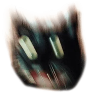 😻 chat, animal, visage, autocollant, effrayant, qui fait peur telegram sticker