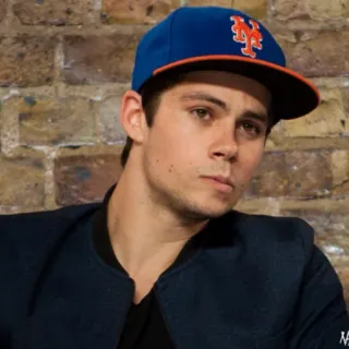 📎 Dylan O'Brien aktor, potret, selebriti, pria, teen wolf telegram sticker