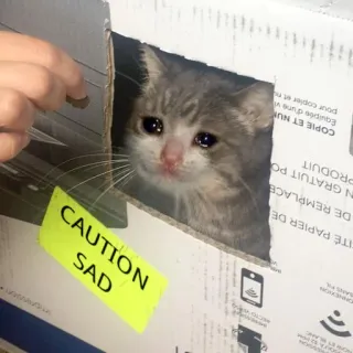 😭 CAUTION
SAD kucing, sedih, anak kucing, perhatian telegram sticker