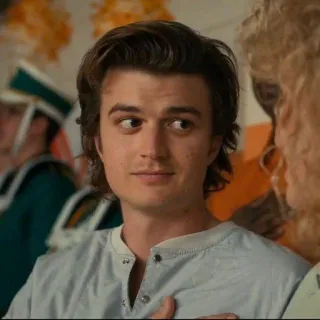 😐 Steve Harrington Stranger Things Steve, Harrington, Stranger Things, Personagem, Televisão, Ator, Joe Keery telegram sticker