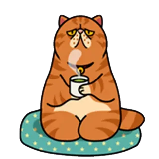 😕 кот, чай, животное, милый, мультфильм, питомец, котенок whatsapp sticker